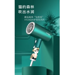 韩国现代（HYUNDAI）猫森林冶愈系护理电吹风+多功能按摩梳 套装 YH3990 绿色